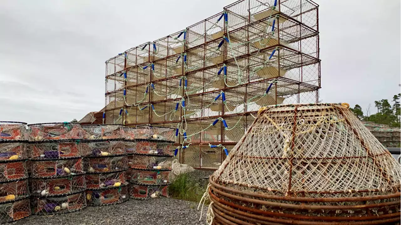 Board of Fish votes down proposal to allow limited red king crab harvest in Southeast Alaska