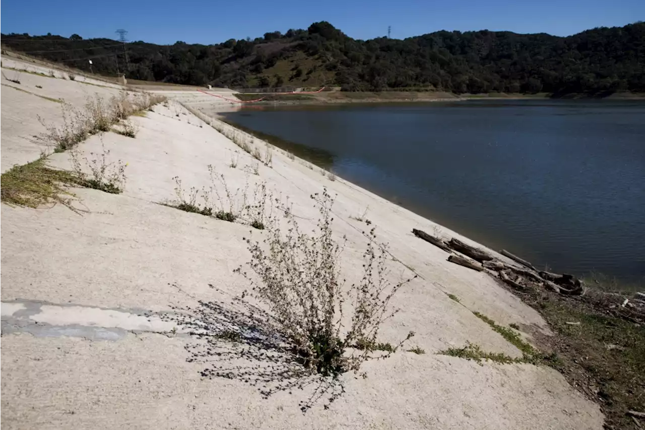 California drought: State announces cutbacks in water to cities and farms