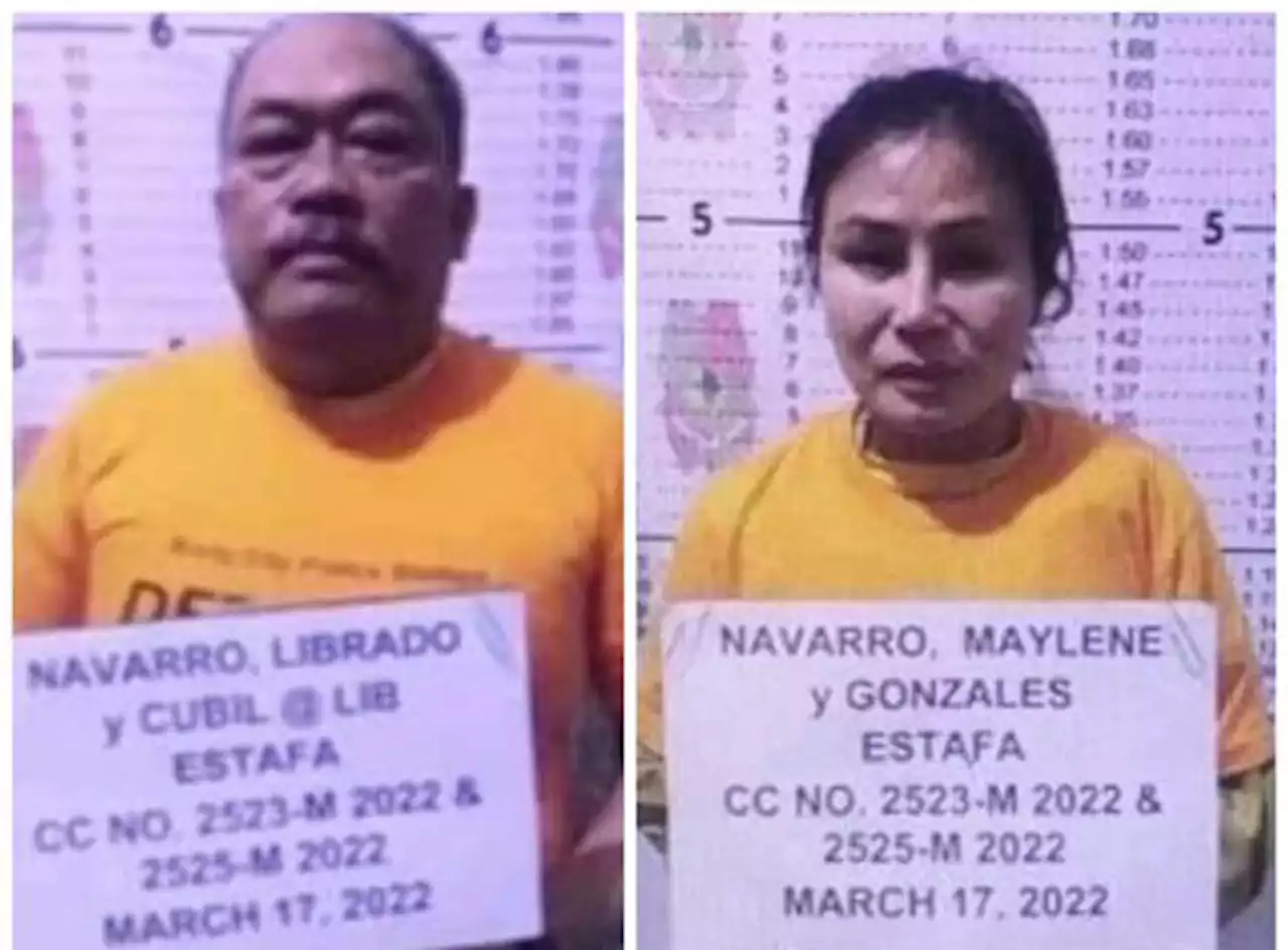 Surigao Sur vice governor, wife nabbed for estafa