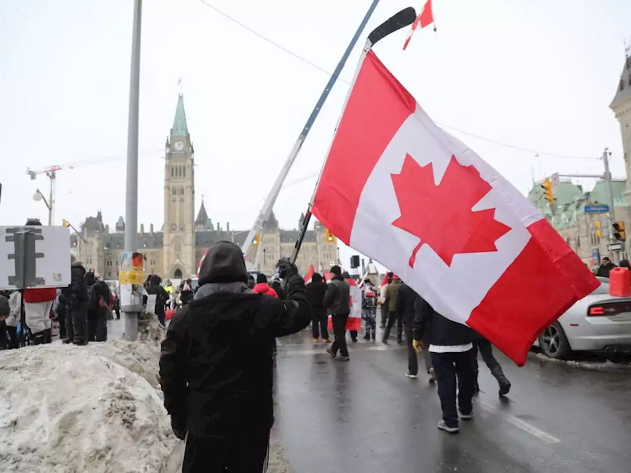 MPs told of confusion, panic after Liberals vowed financial crackdown on Freedom Convoy