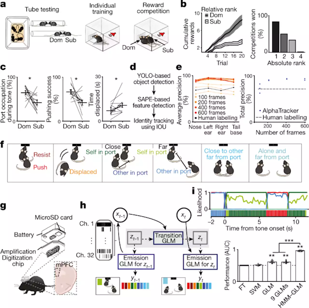 Cortical ensembles orchestrate social competition through hypothalamic outputs - Nature