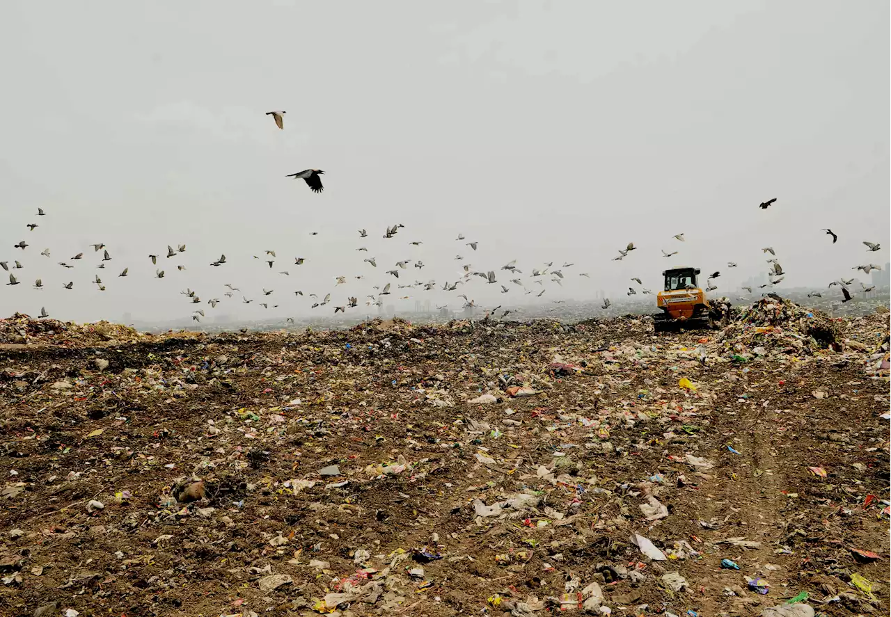 ‘Time Is Running Out': UN Says Asia-Pacific Is Falling Behind on Sustainability Goals