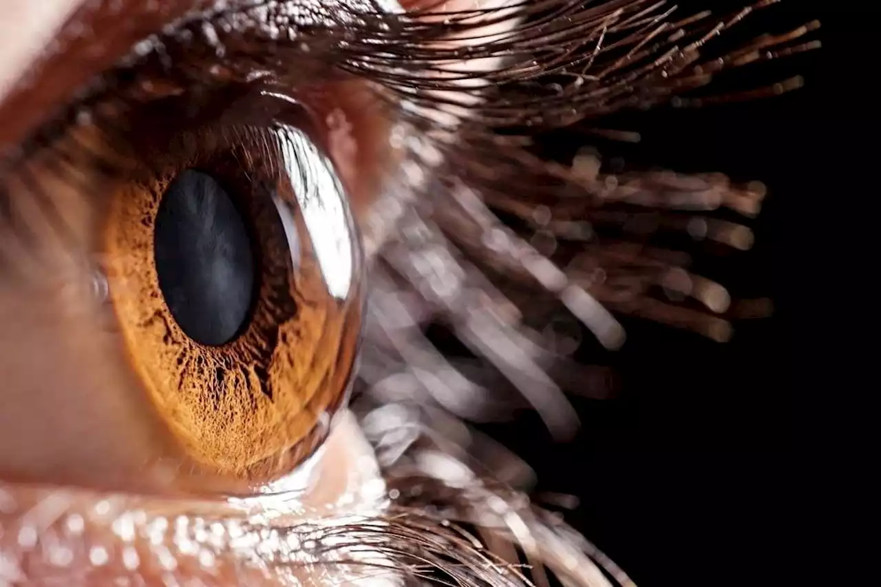 Bionic eye that mimics how pupils respond to light may improve vision