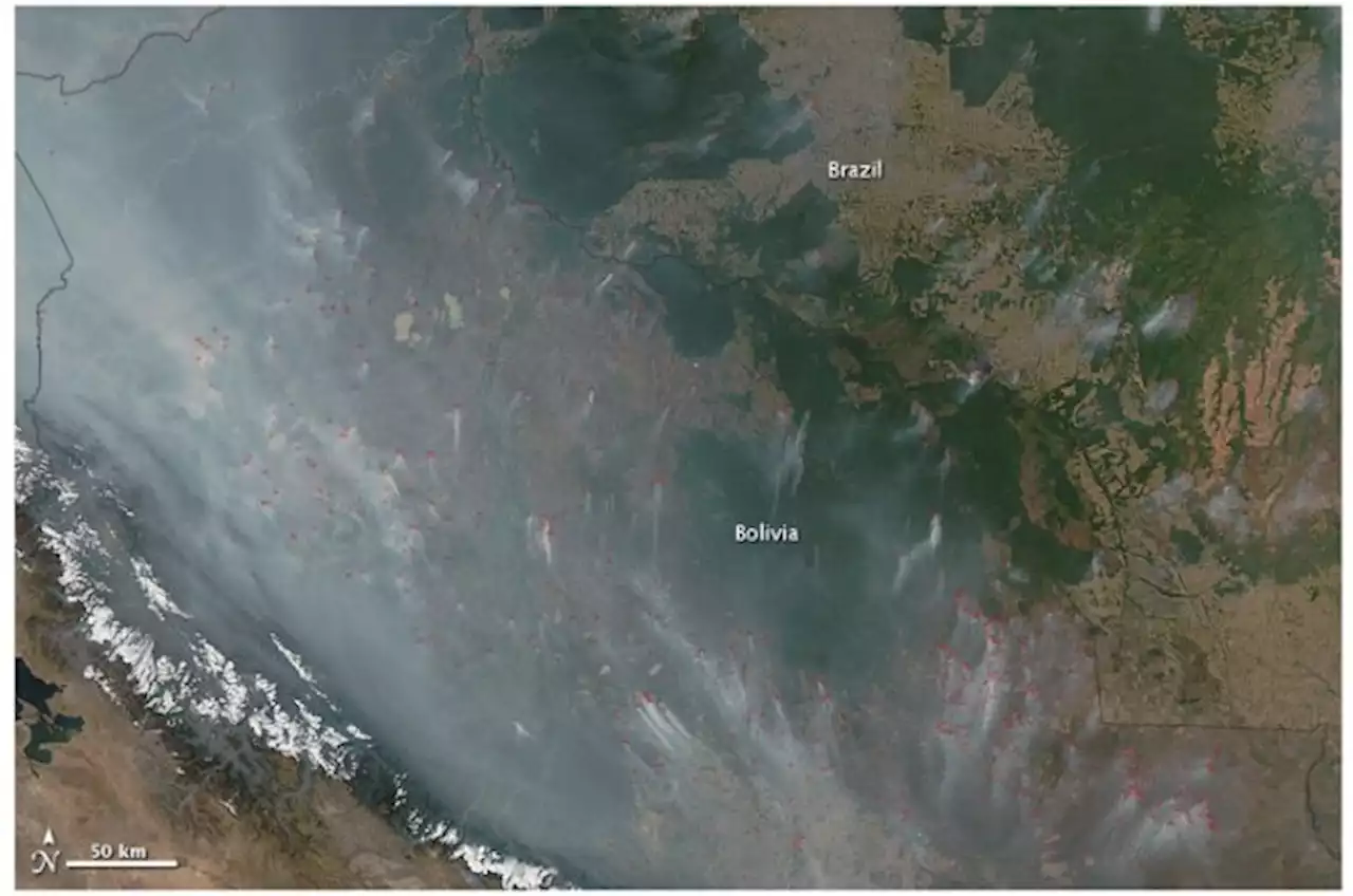 Global carbon emissions from deforestation reveal surprisingly stable carbon dioxide uptake by land and oceans