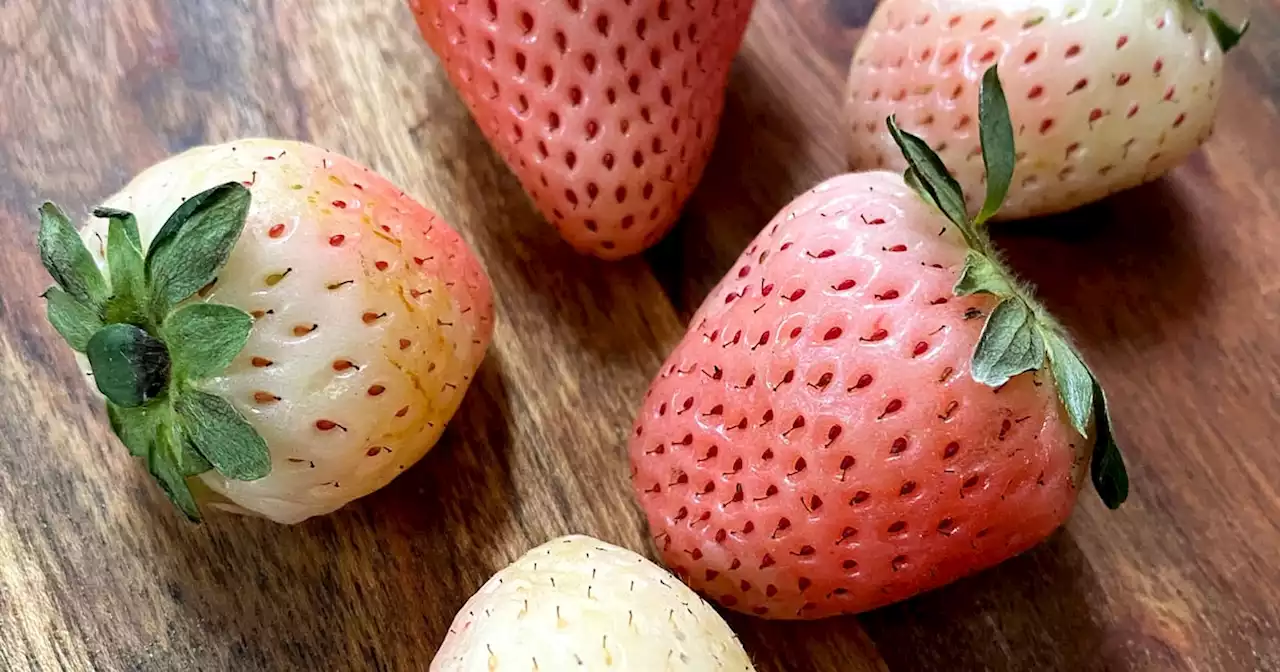 Are These $6 White Strawberries Worth It? Dietitian Dishes About Pineberries