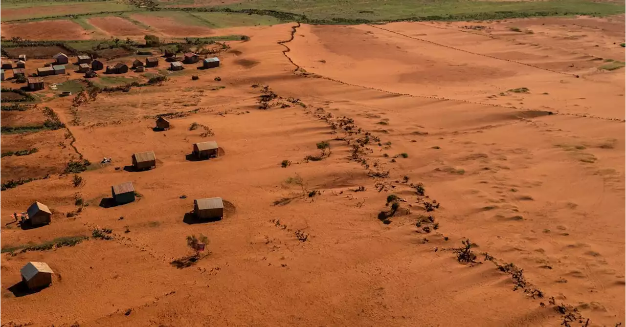 A green island turns red: Madagascans struggle through long drought