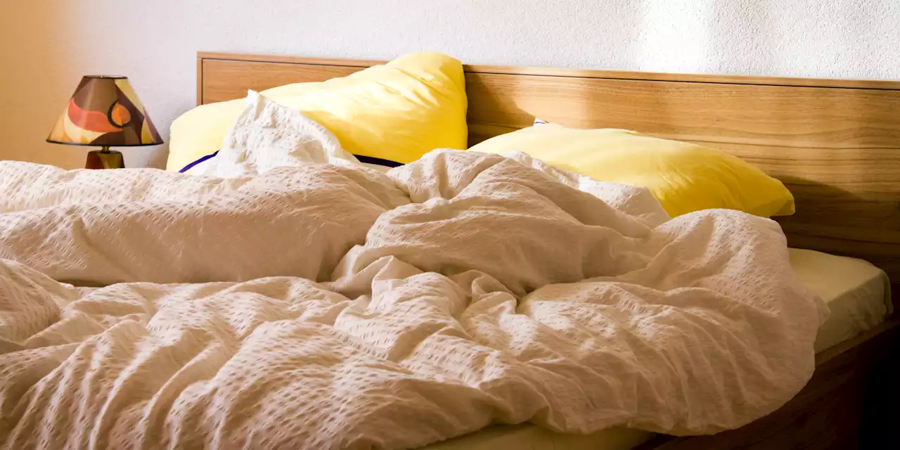 18 of the Best Comforters for Your Coziest Sleep Yet