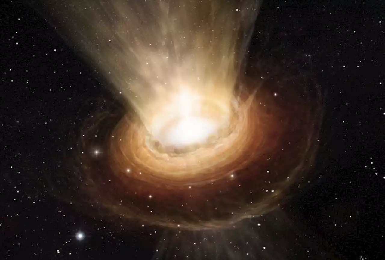 Could the secret of supermassive black holes lie in ultralight dark matter?