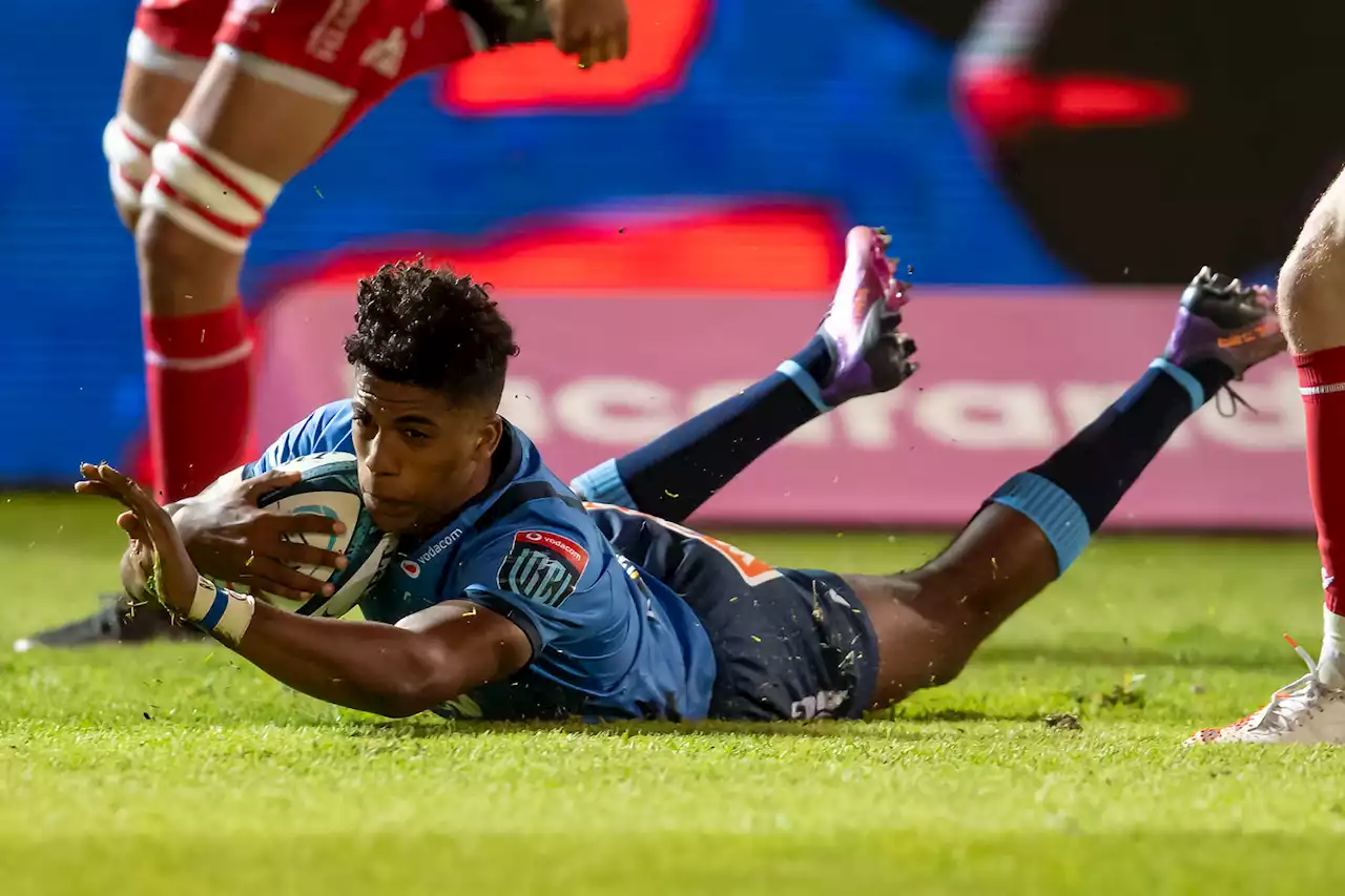 Bulls run in nine tries to hammer Scarlets in URC clash at Loftus