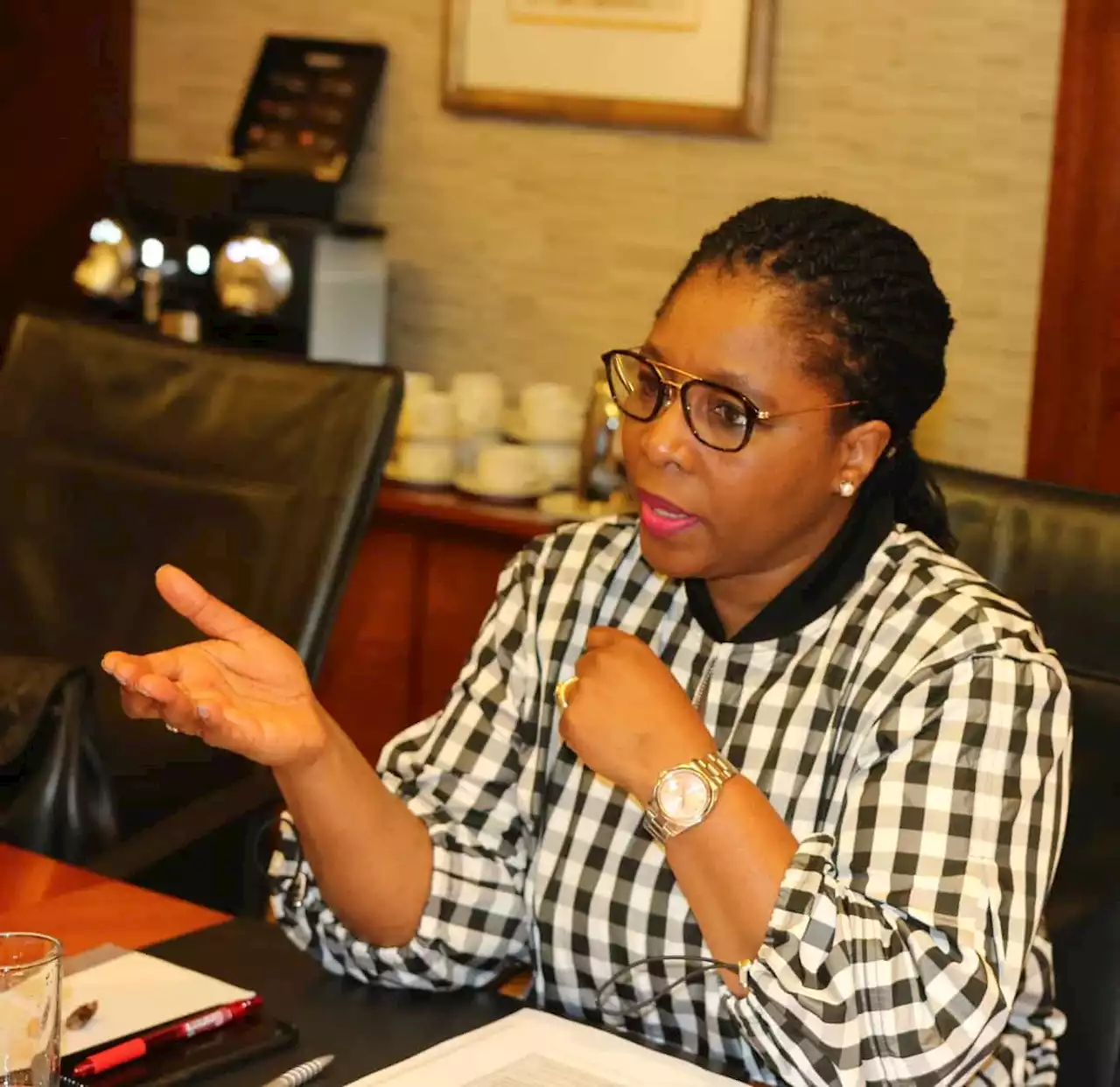 Lifestyle audits: Minister Dlodlo urges public servants to cooperate