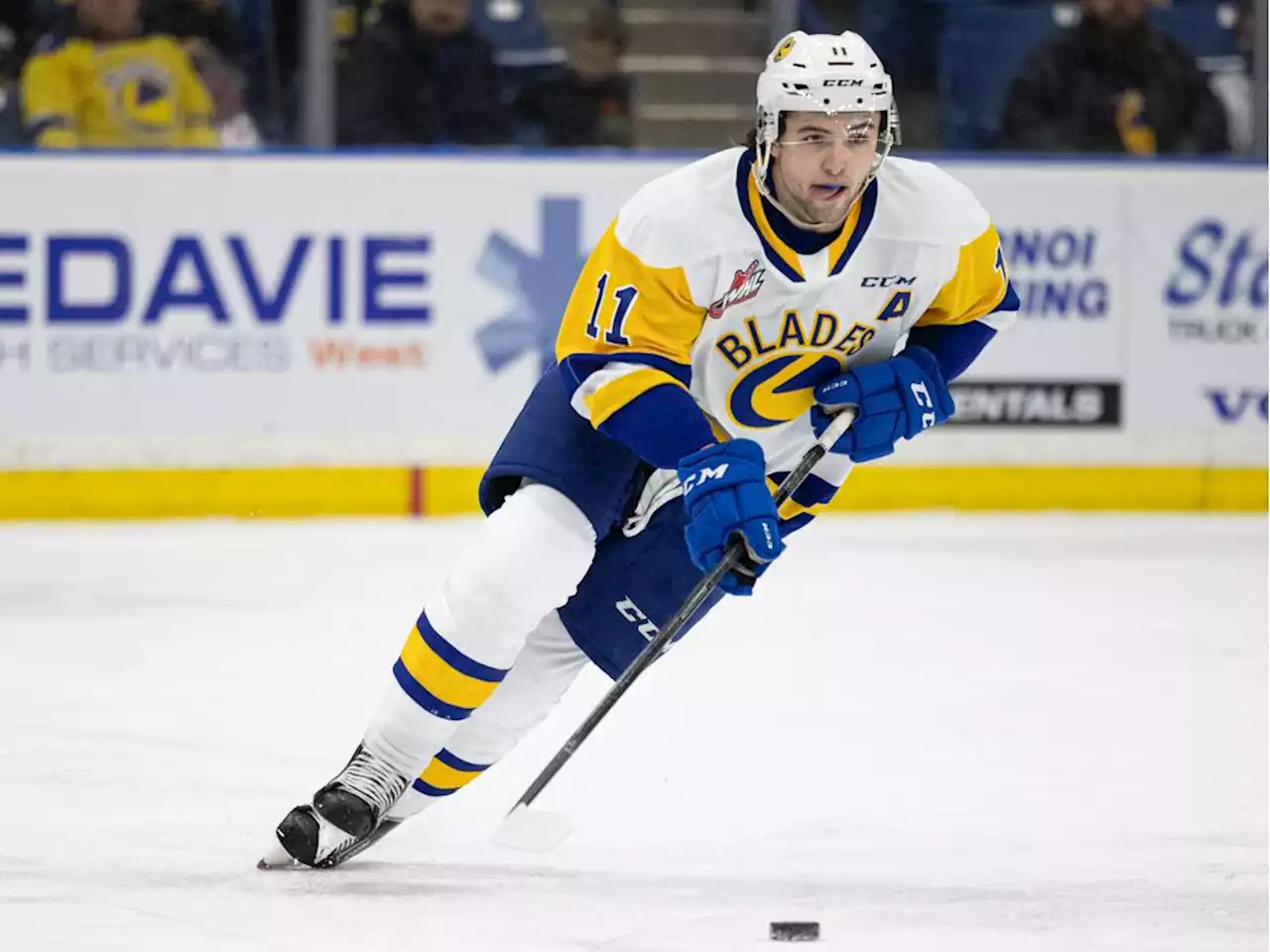 Icing takes on whole new meaning as Saskatoon Blades ramp up for playoffs