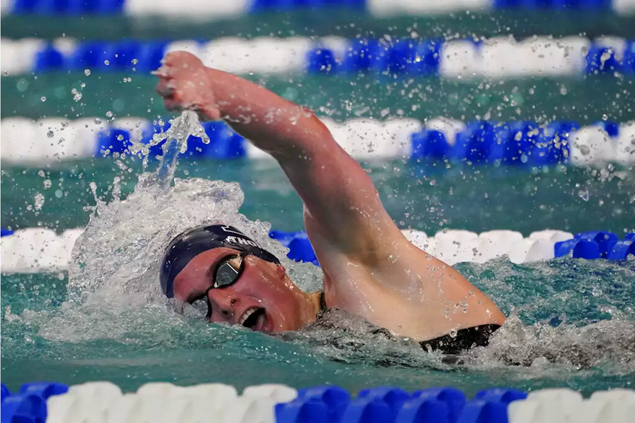 Penn Swimmer Is First Transgender Woman to Win NCAA Championship