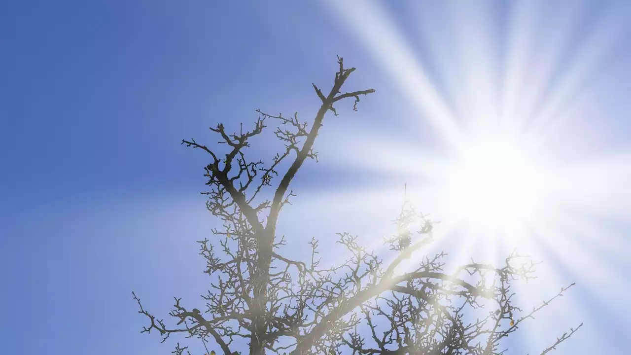 Wetter in NRW: Der Frühling startet durch