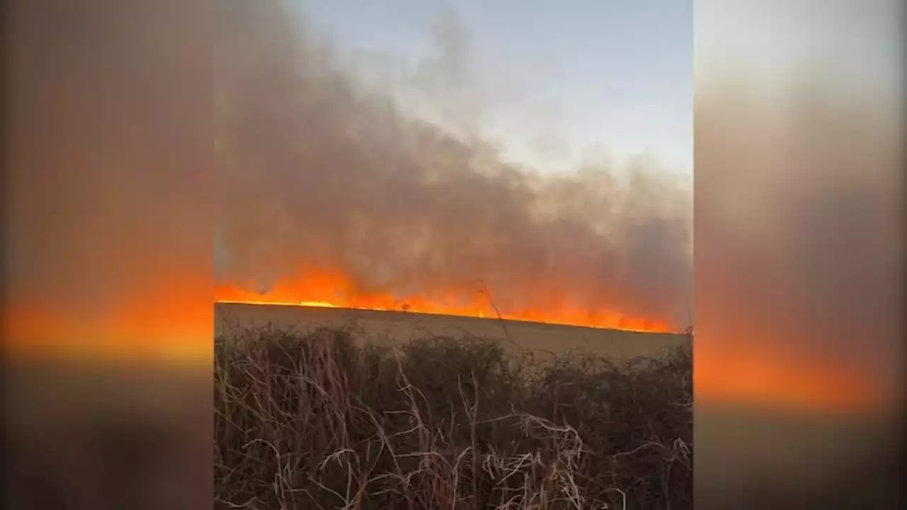 Spring firefighters on the frontlines at Eastland Complex Fires