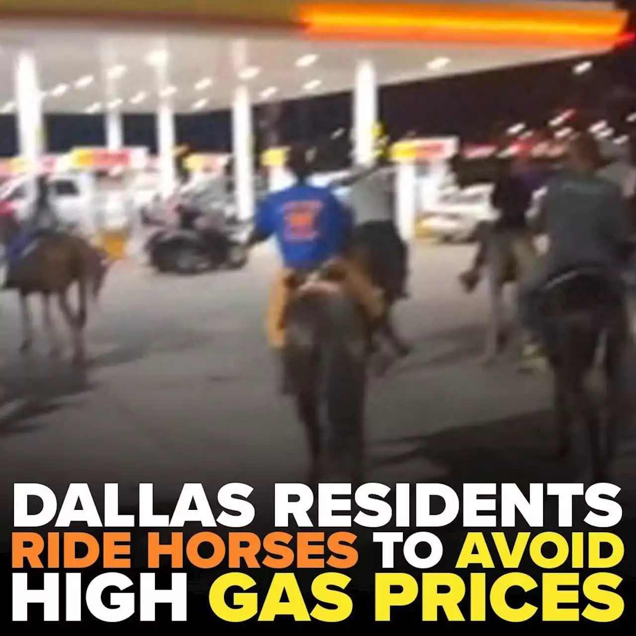 Must-see video shows Dallas residents on horses galloping down the roads