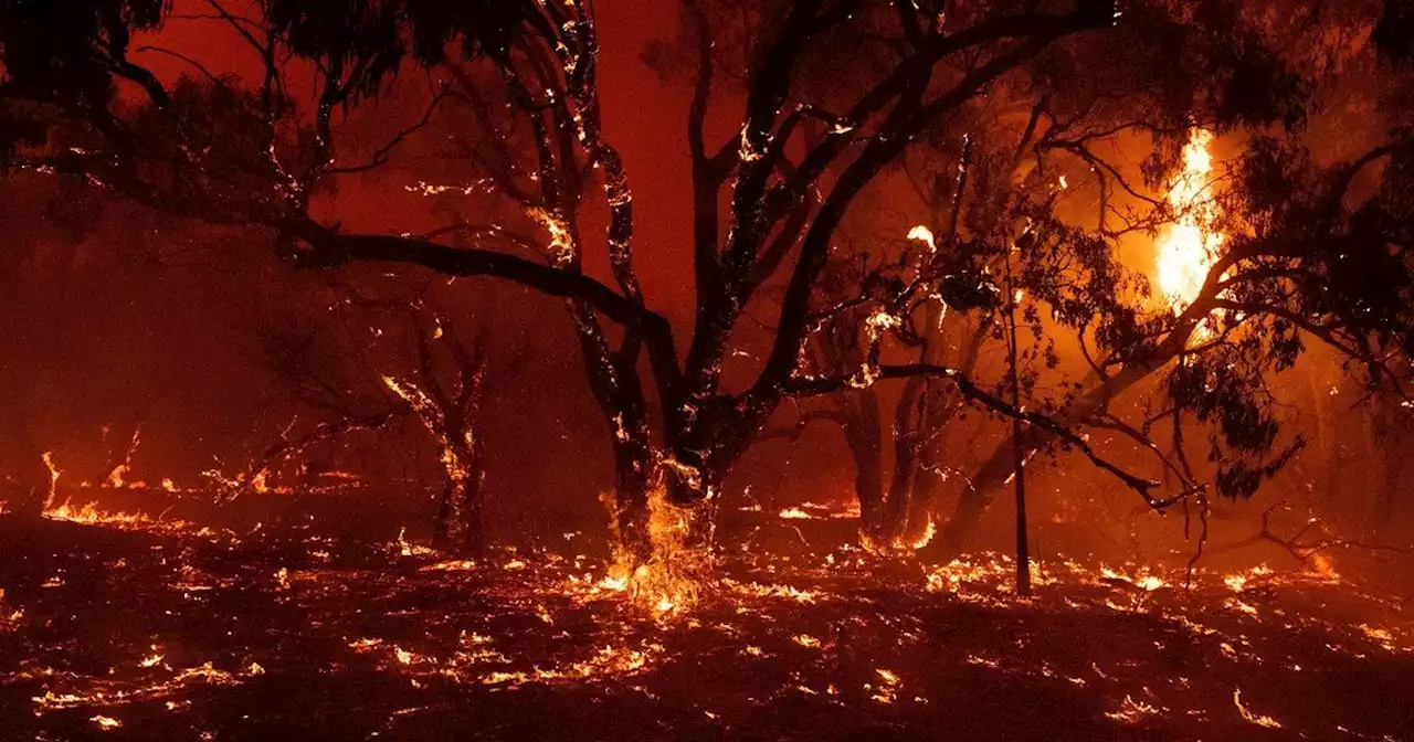 Continúan los incendios forestales en Corrientes y Santa Fe