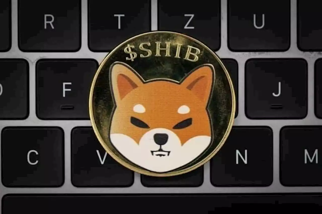 Shiba Inu loses over 30,000 holders in a single day as interest in SHIB wanes