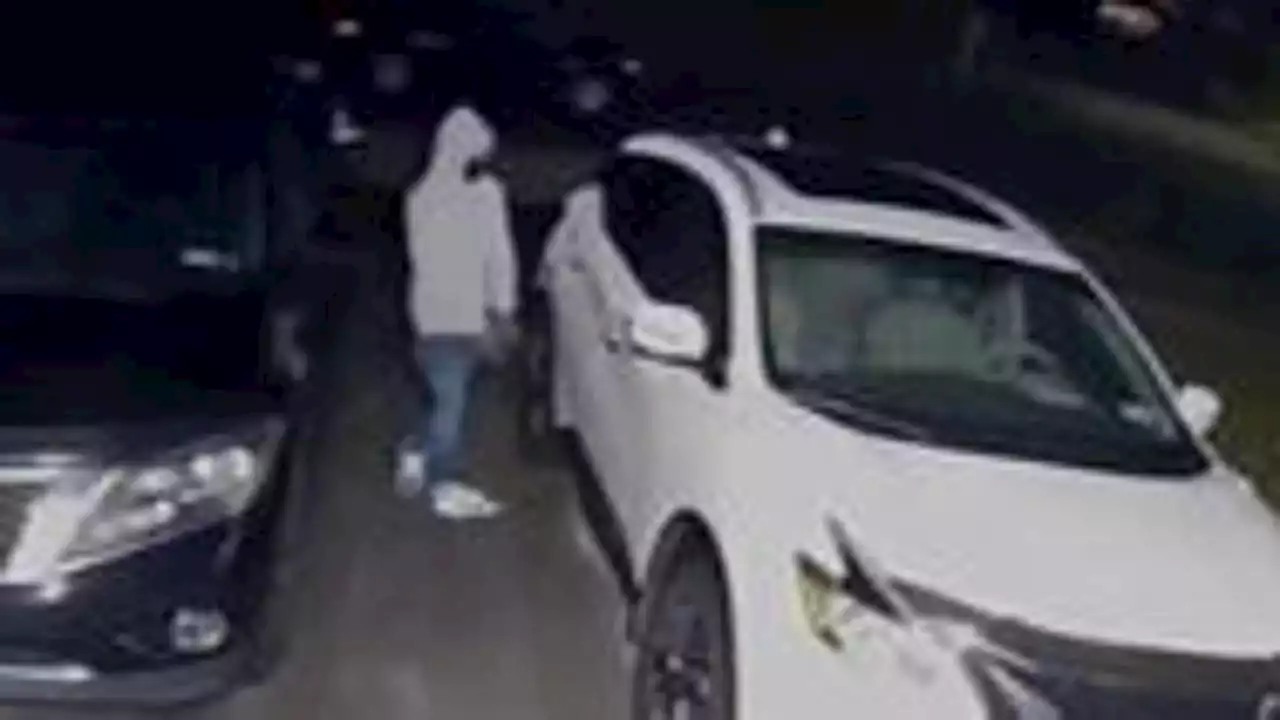 12 cars stolen in 48 hours on Long Island