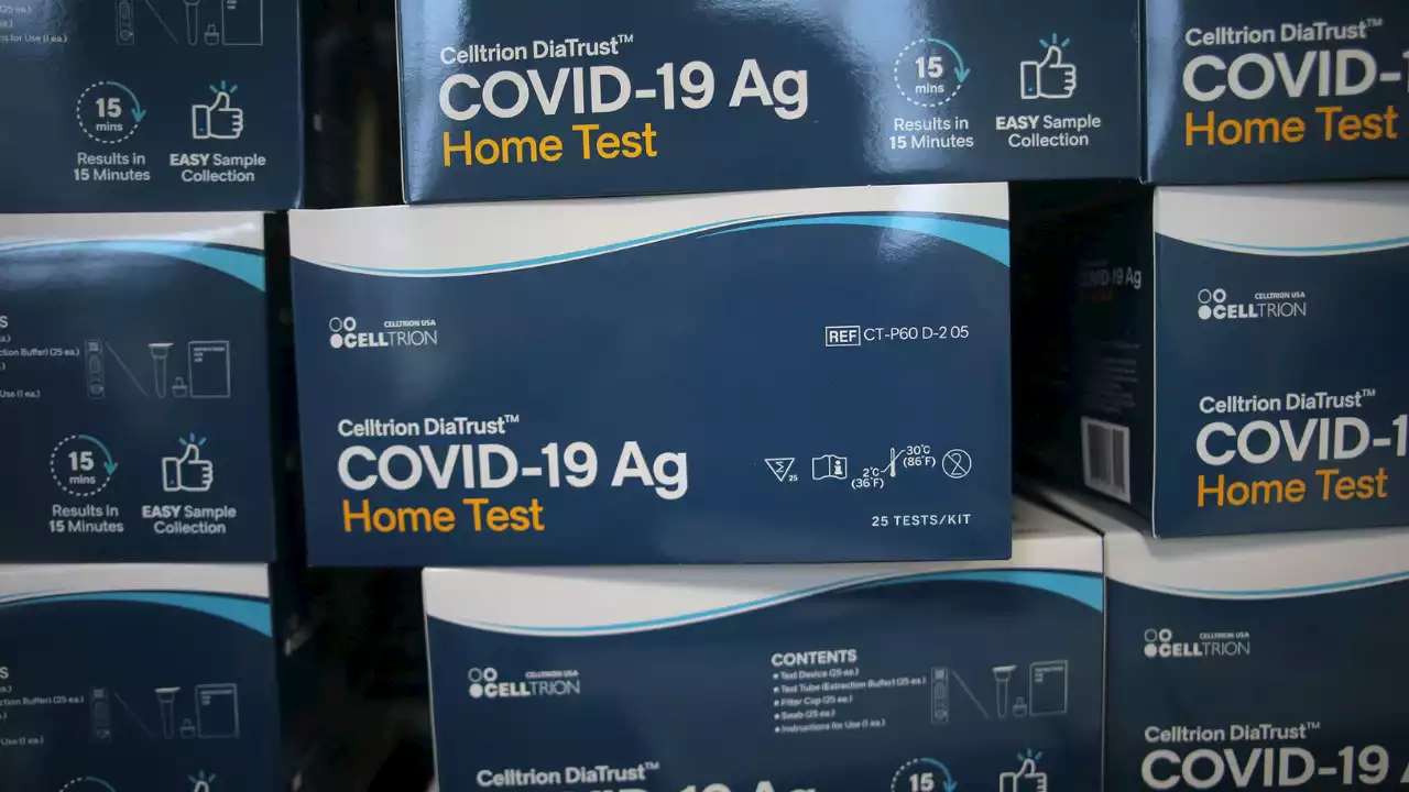 COVID-19 rapid test recalled for 'high number' of false positive reports