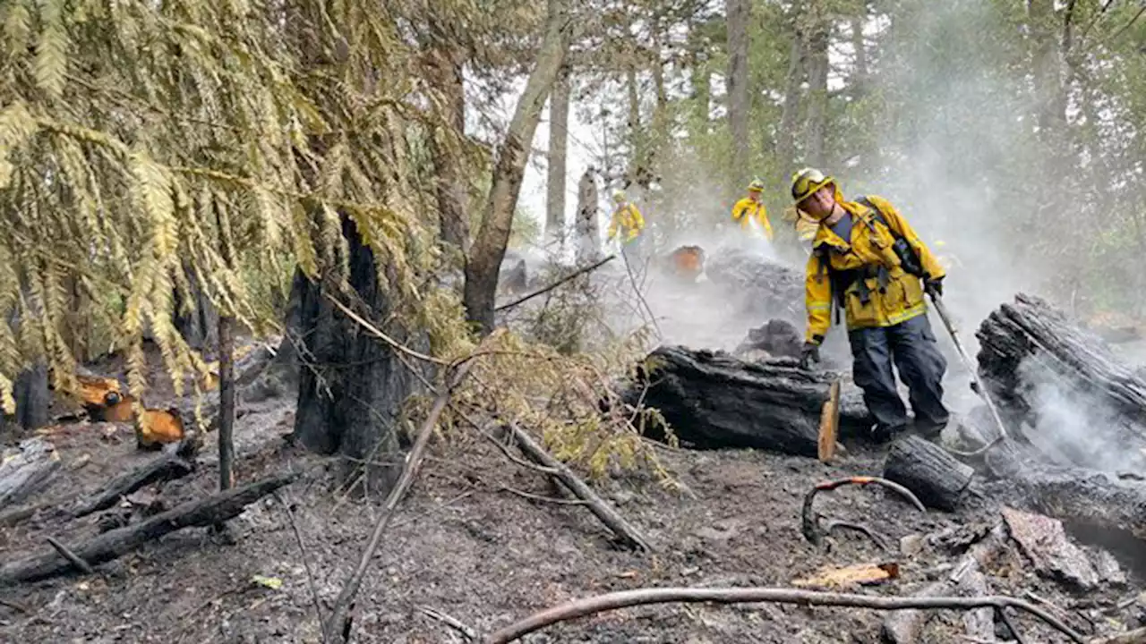 Oakland Firefighters Extinguish Saturday-Morning Blaze in Joaquin Miller Park