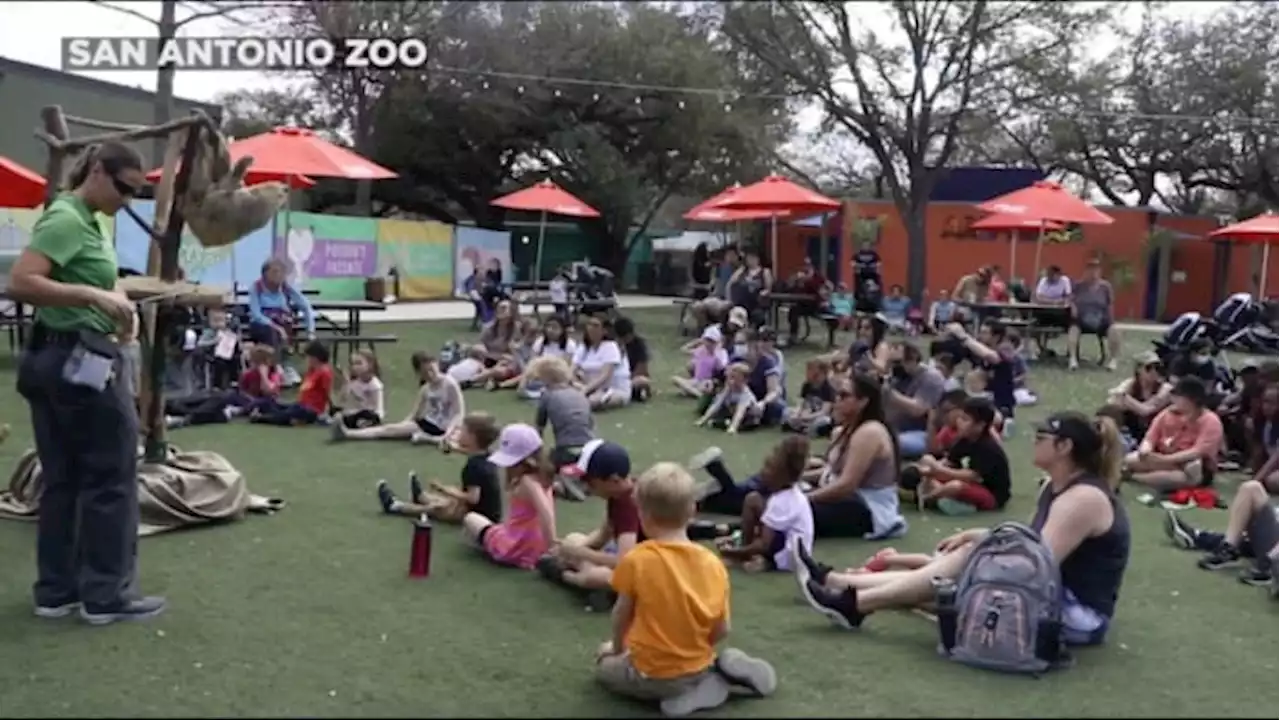 Spring Break event underway at San Antonio Zoo amid $60M expansion plans