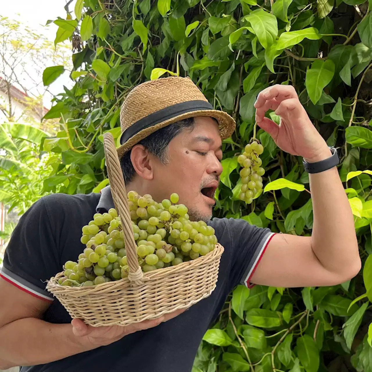 Julius Babao and Christine Bersola-Babao grow grapes in their Quezon City garden