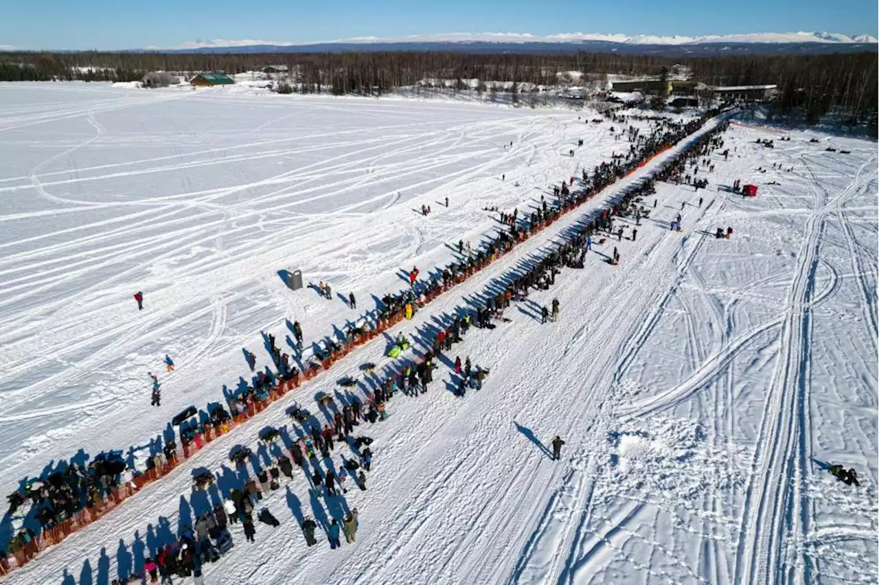 Ground storm forces two Iditarod mushers to seek rescue