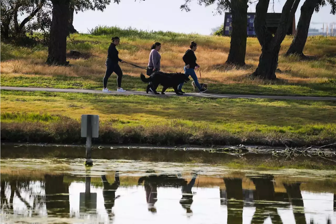 Light rain falls in Bay Area on last day of winter