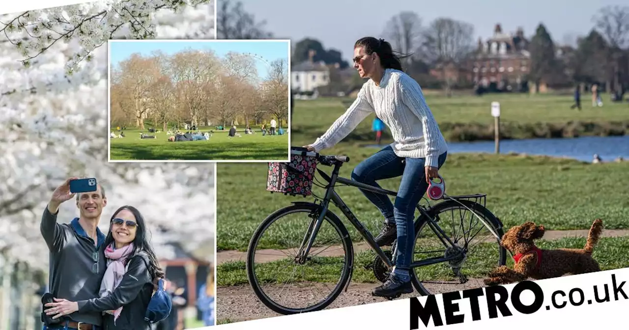 Warmest day of the year as UK basks in 'wall-to-wall sunshine'