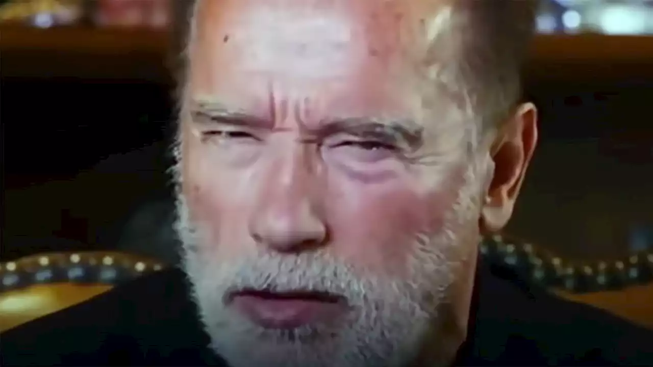 VIDEO: El duro mensaje de Arnold Schwarzenegger a Vladimir Putin