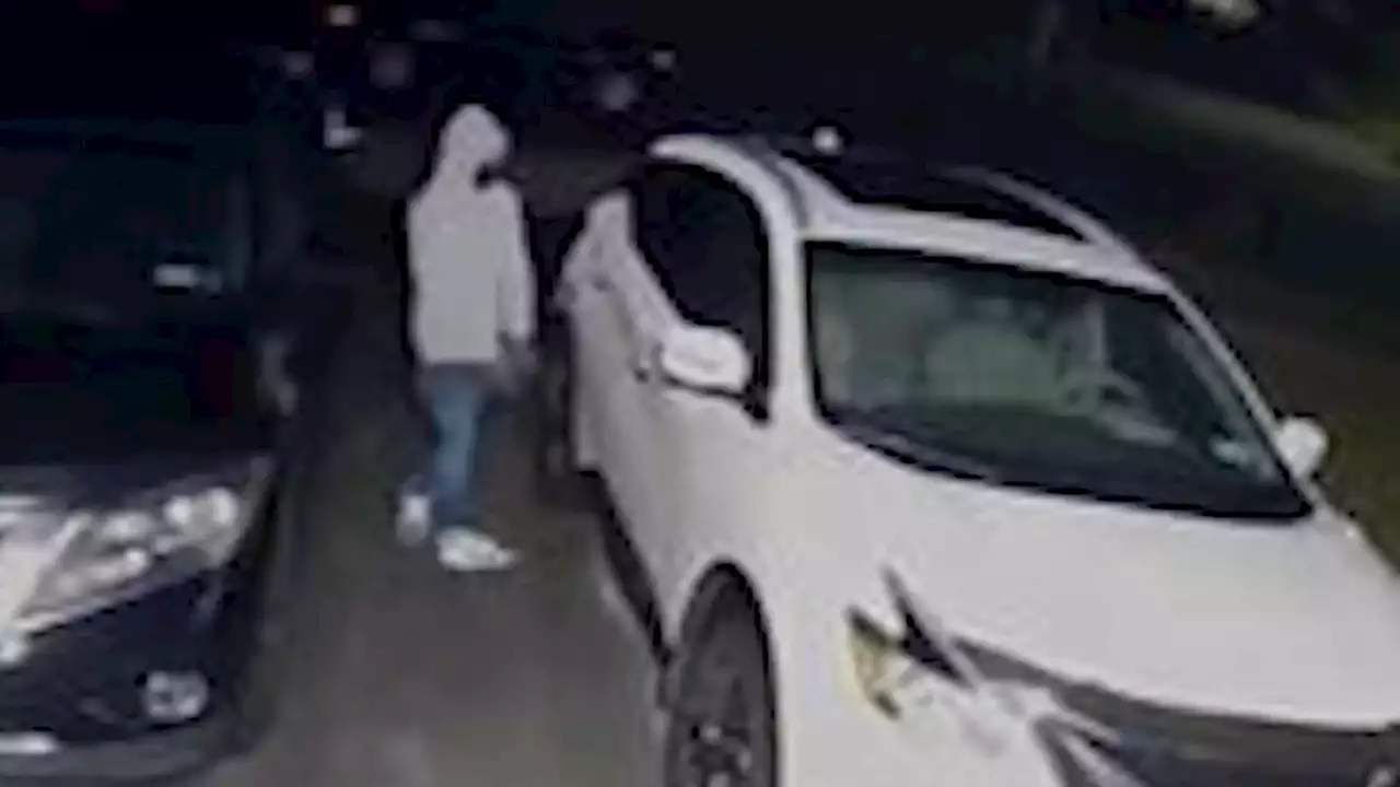 A Dozen Vehicles Stolen From Two Long Island Towns in 2-Day Span, Police Say