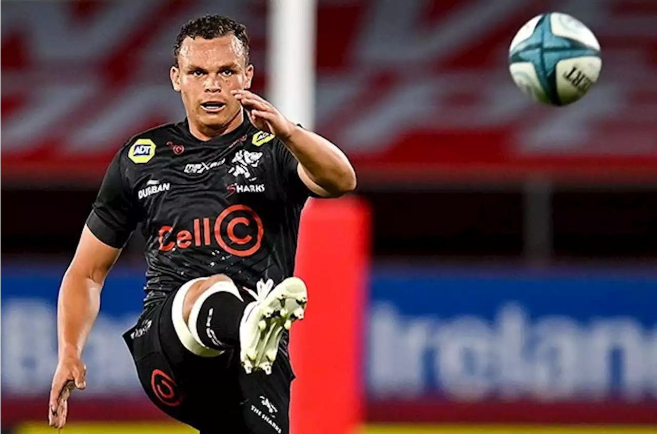 Curwin Bosch remains incumbent as Sharks seek flyhalf equanimity | Sport