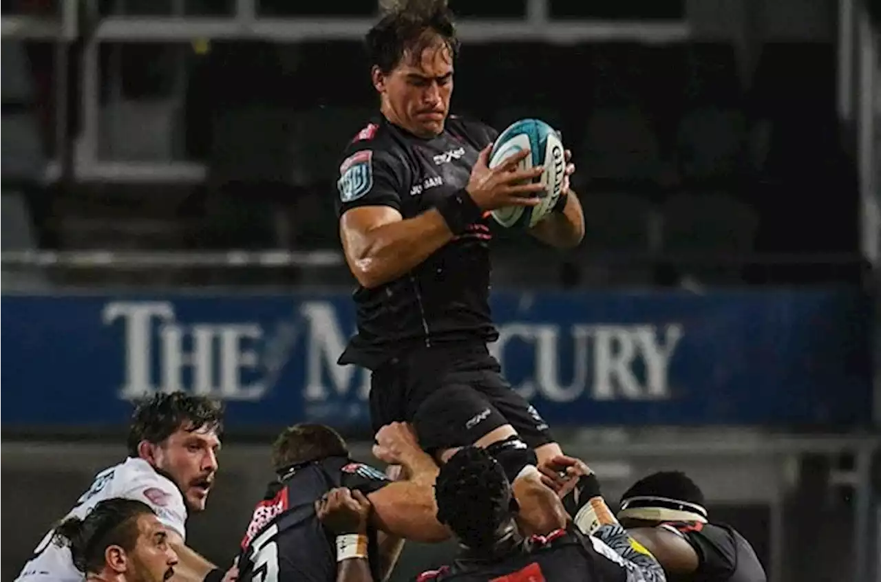 Sharks earn fourth straight bonus-point win after Zebre workout | Sport