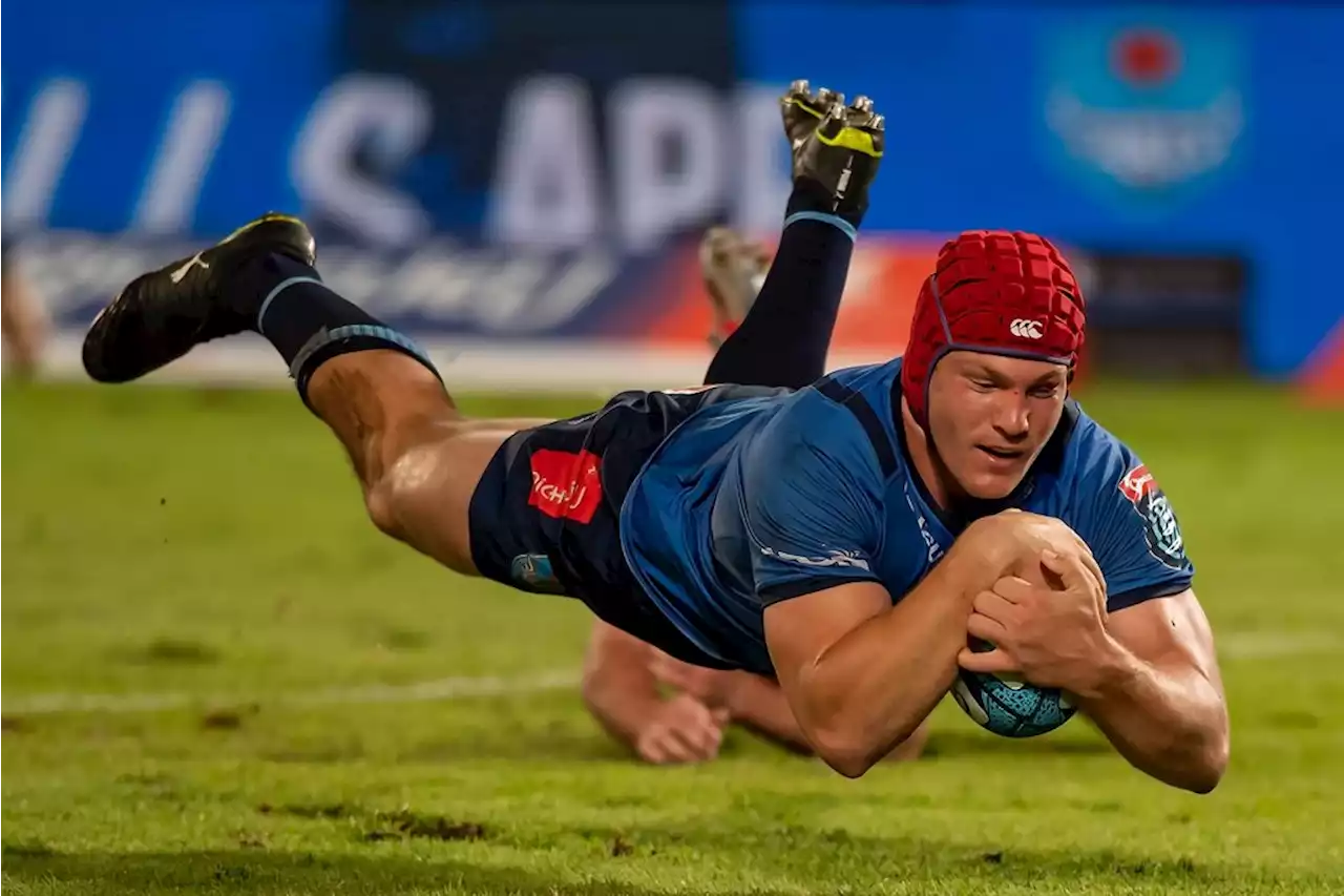 WATCH | Bulls backs, forwards combine to score 80m try in Scarlets demolition | Sport