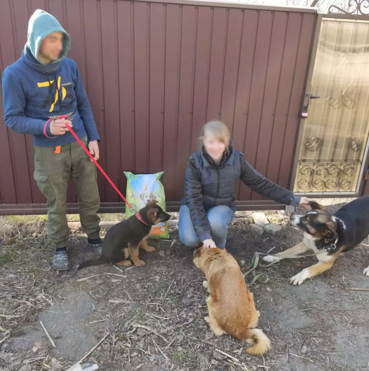 Aid project launched to feed thousands of animals at Ukraine shelters