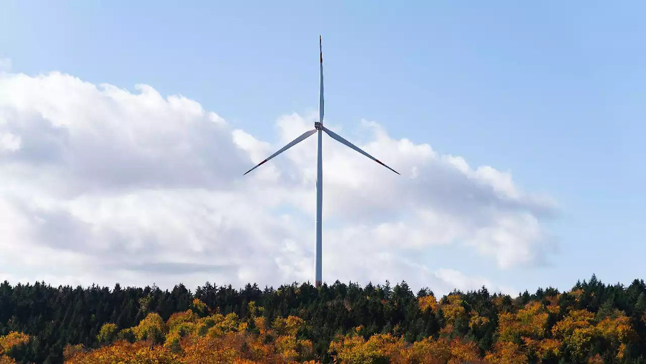 'Die Windkraft-Fuzzis sollen uns in Ruhe lassen'