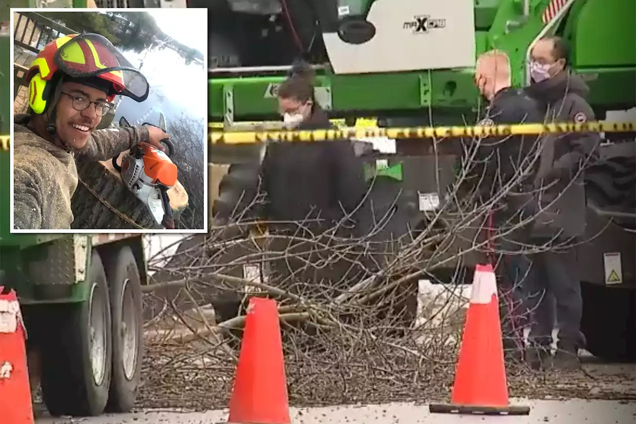 22-year-old landscaper dies after getting pulled into wood chipper