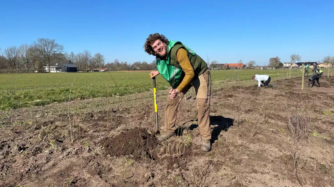 5000 boompjes gered van de shredder: 'Elke boom telt'