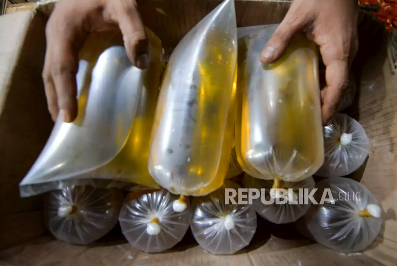 Politikus Perindo Ini Usulkan Empat Hal untuk Turunkan Harga Minyak Goreng |Republika Online