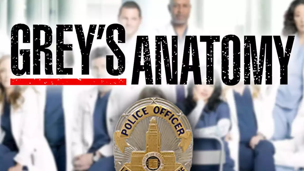 'Grey's Anatomy' Crew Member Sues LAPD for Racial Profiling During On-The-Job Arrest