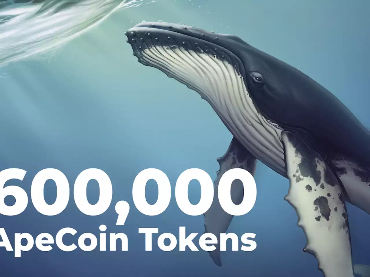 Nearly 600,000 ApeCoin Tokens Grabbed by Top Ethereum Whales: Details