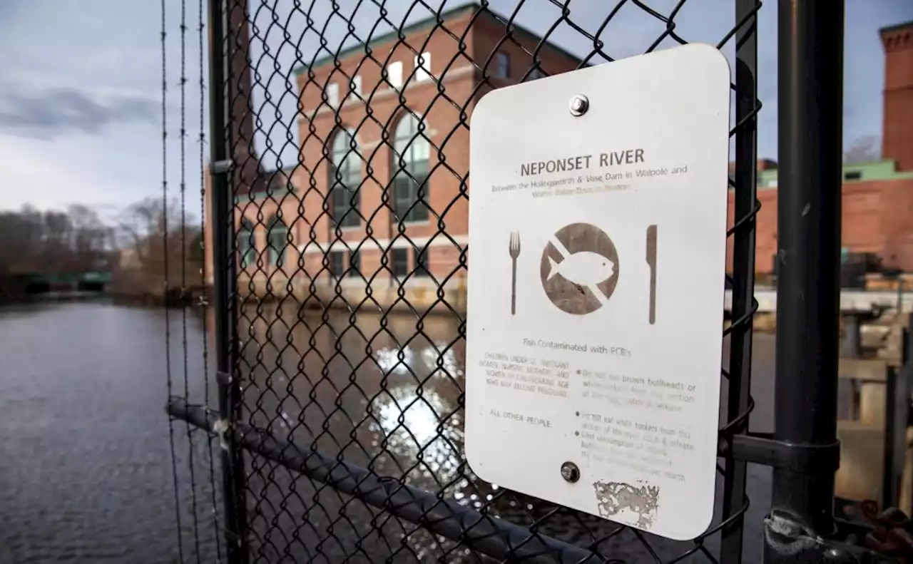 EPA designates Lower Neponset River in Boston and Milton a Superfund site