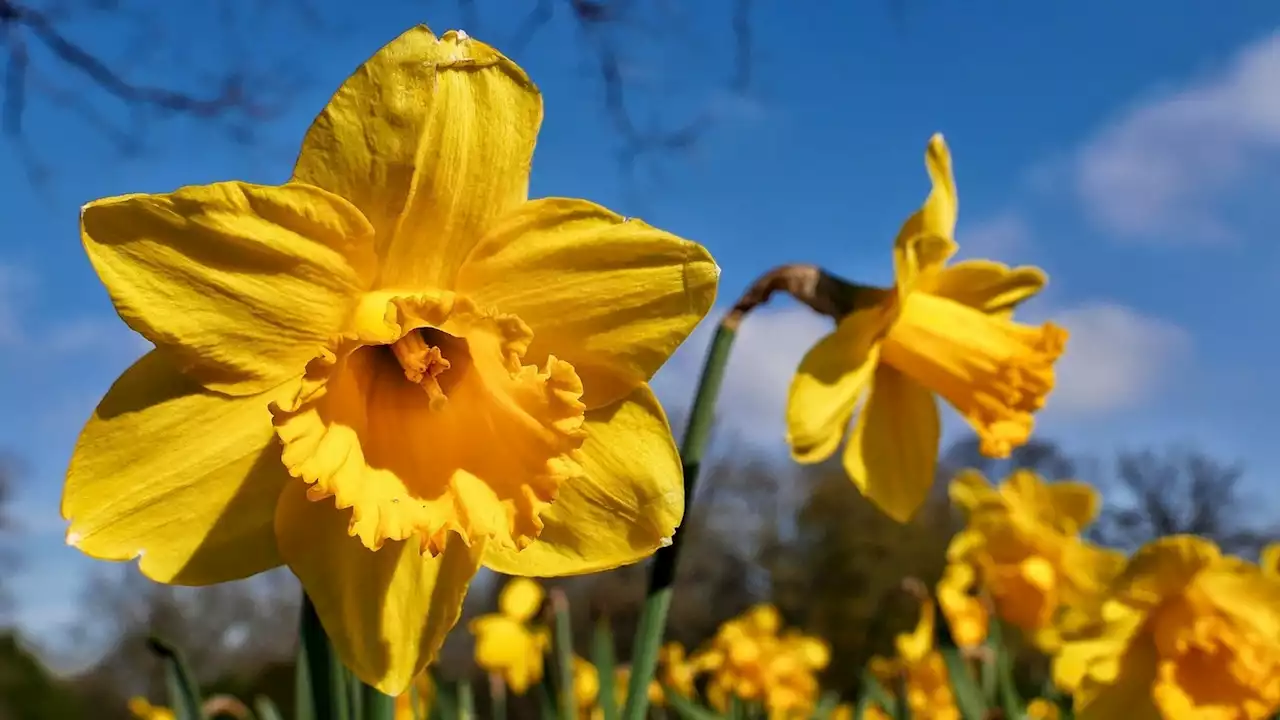 Wetter in NRW: Viel Sonne im Westen