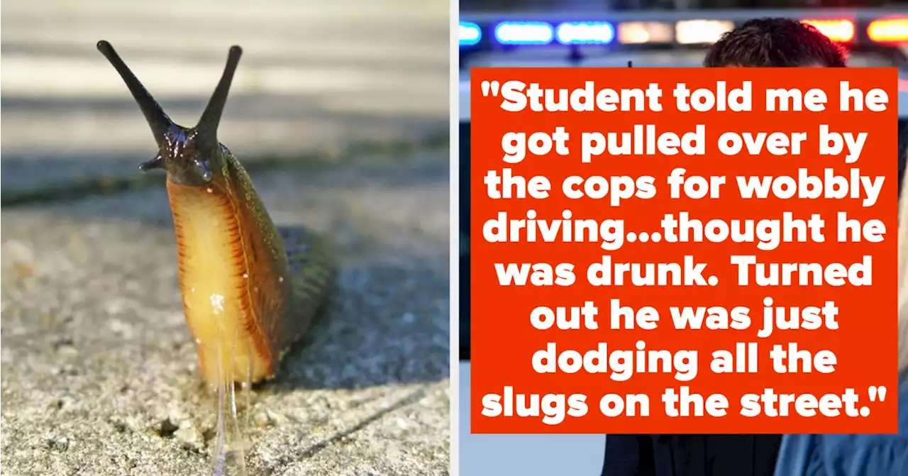 People Are Sharing The Best Excuse Students Have Used For Being Late That Turned Out To Be True