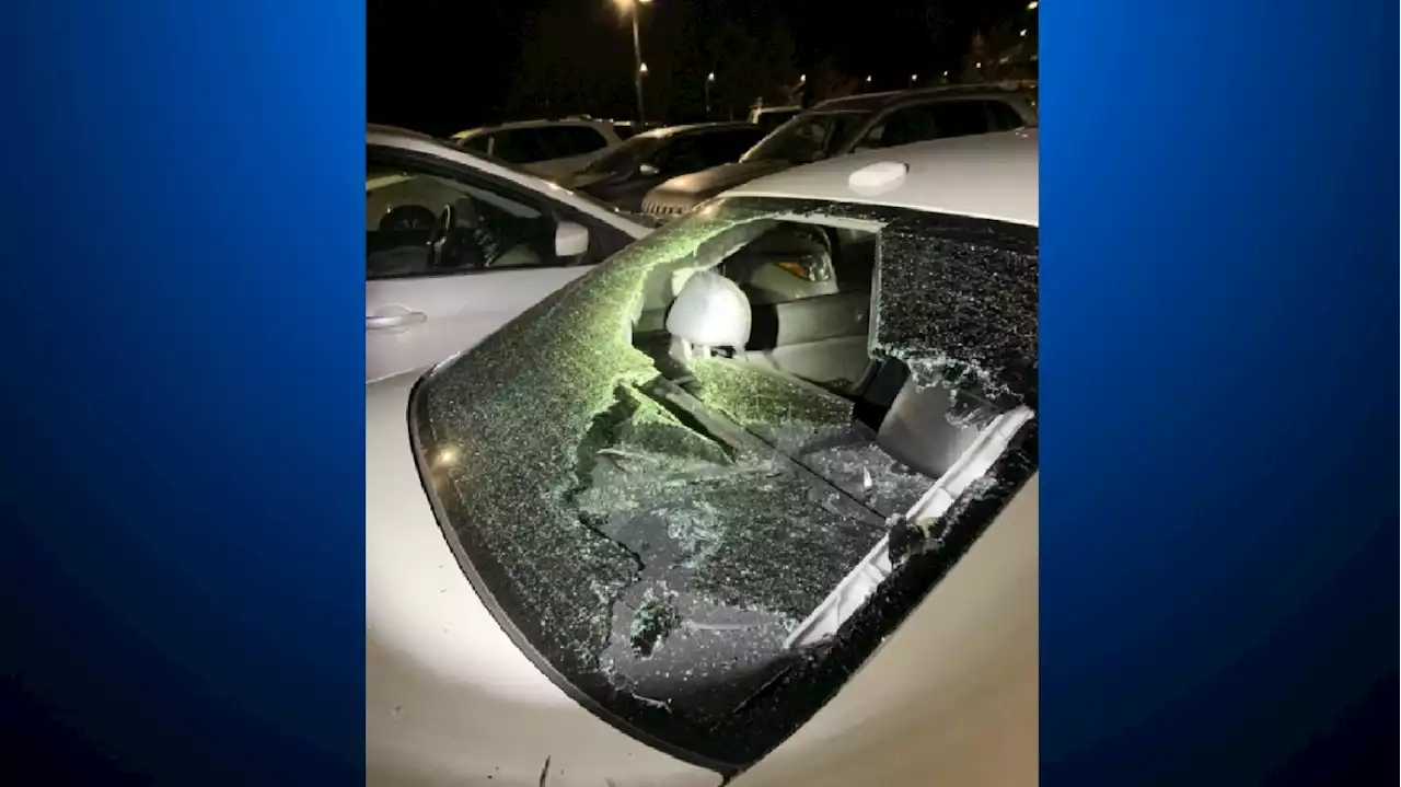 1 Car Stolen, 8 Vandalized At Lutheran Medical Center In Wheat Ridge