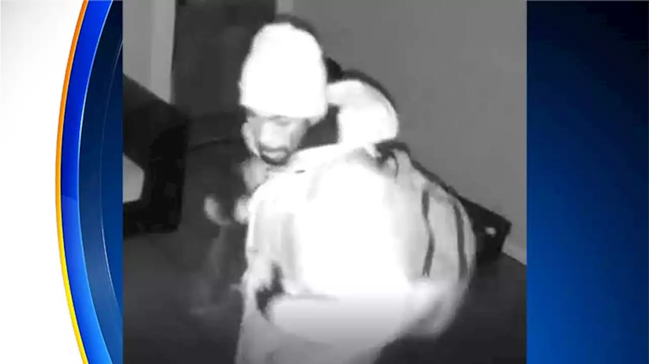 Dallas Police Searching For Suspected Gertrude Ave Burglar Caught On Tape