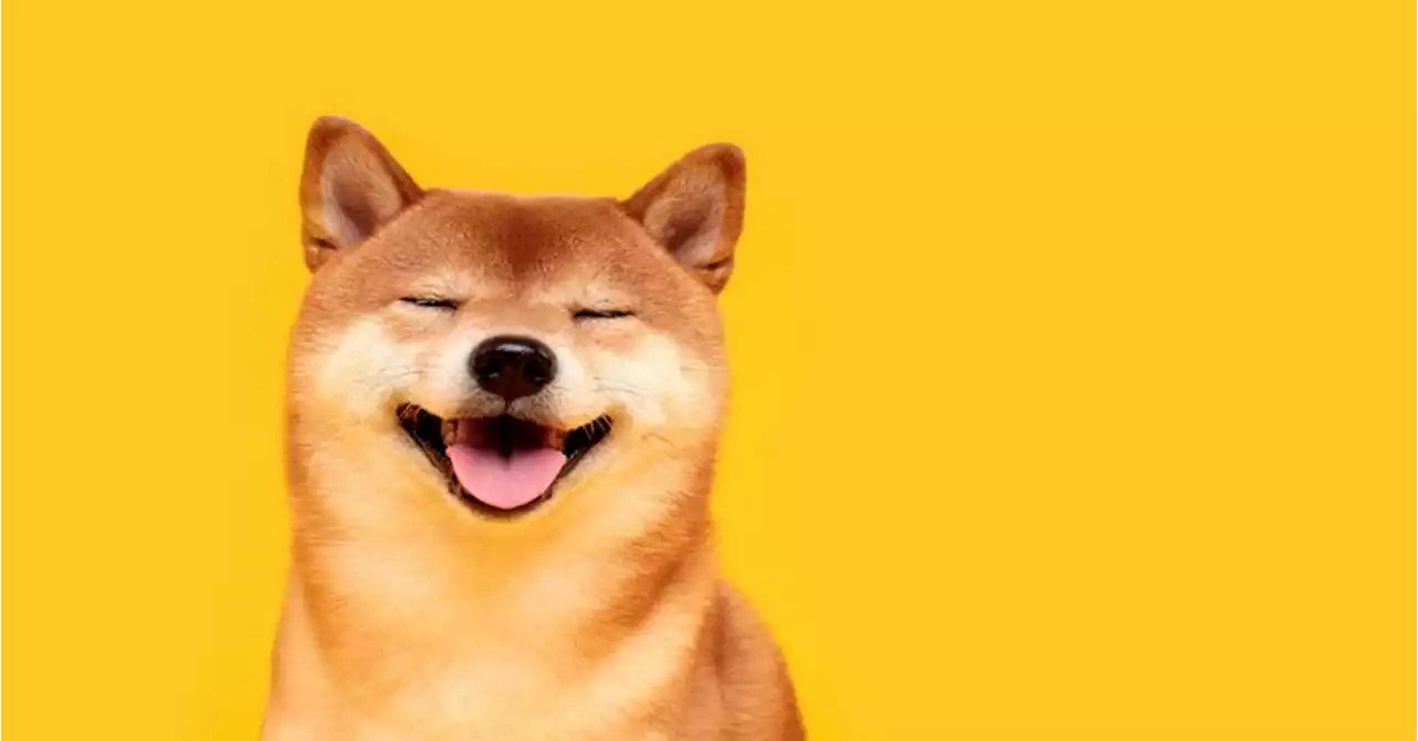 Ukraine Expands Crypto Donations to Accept Dogecoin