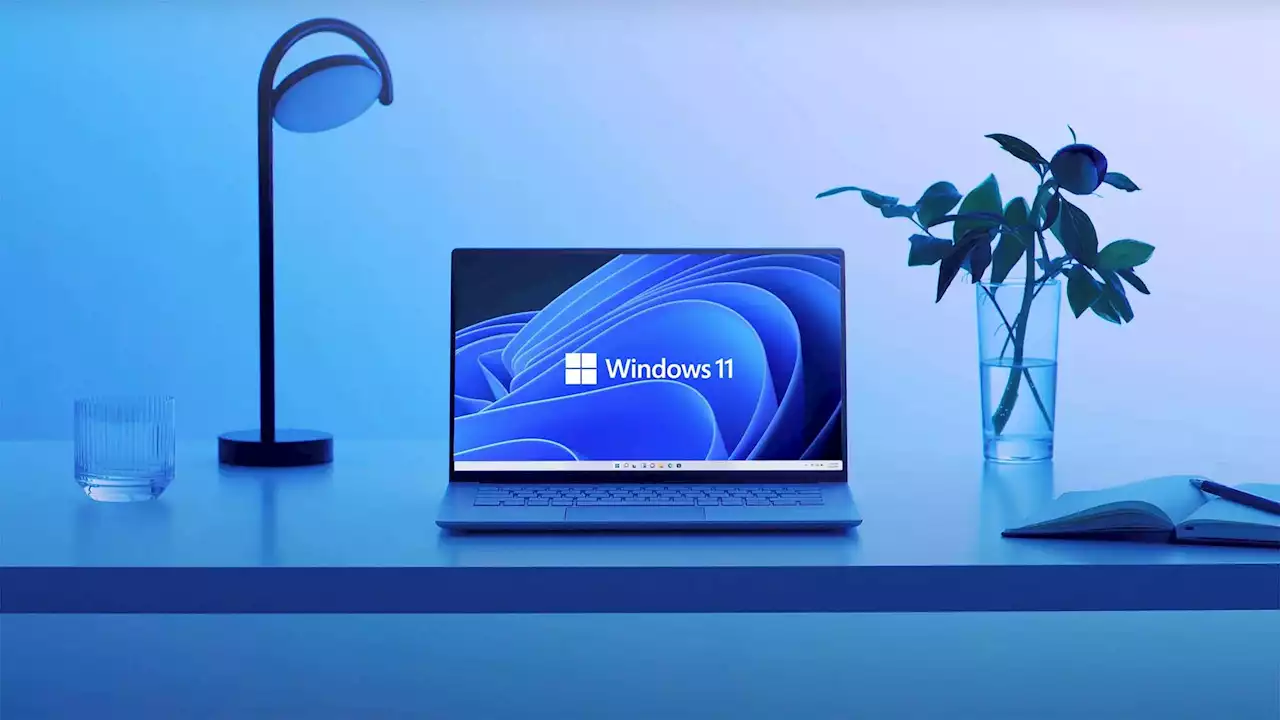 Windows 11 adoption is slowing, but it's not a failure yet | Digital Trends