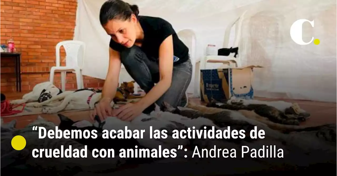 “Debemos acabar las actividades de crueldad con animales”: Andrea Padilla