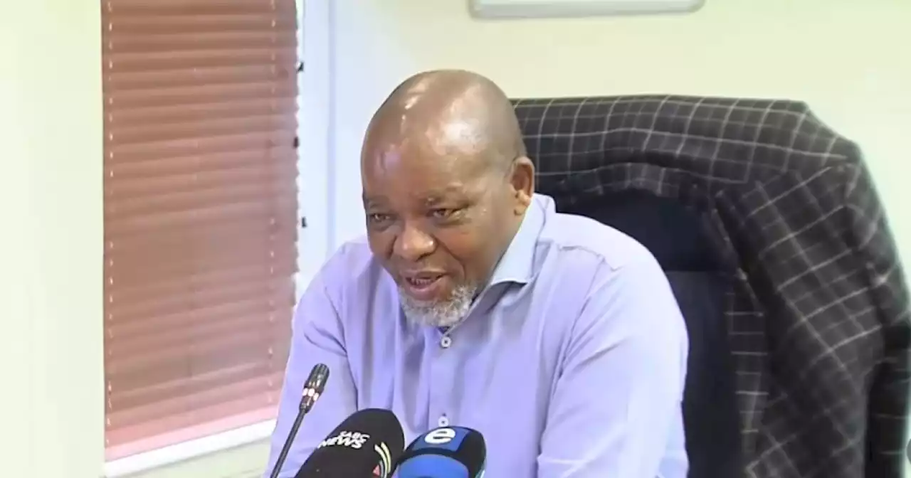 WATCH | Mantashe to take Zondo report on judicial review